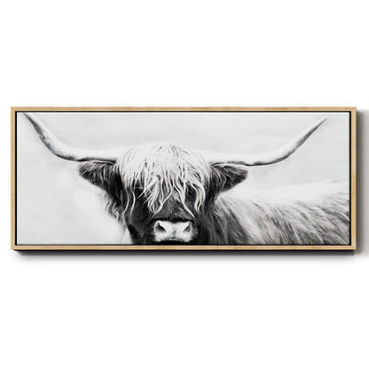 Highland Longhorn - Floater Framed Canvas Print