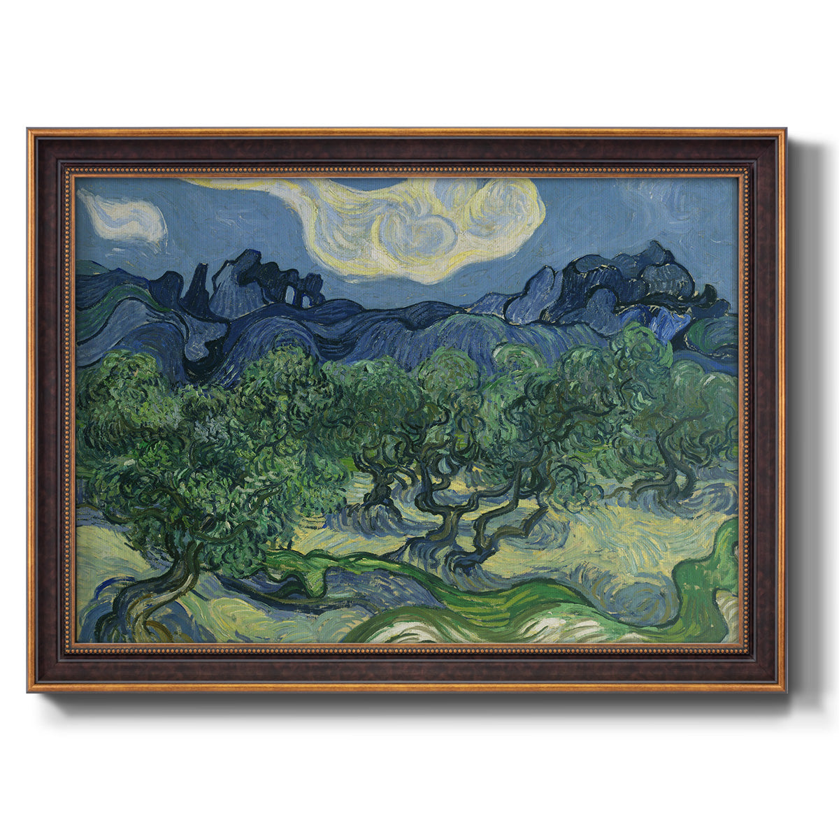 Olive Trees - Ornate Framed Canvas Print