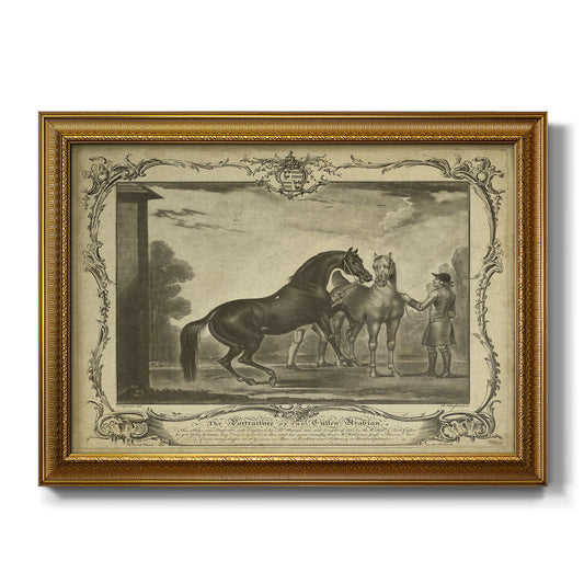 Distinguished Horses III - Ornate Framed Canvas Print