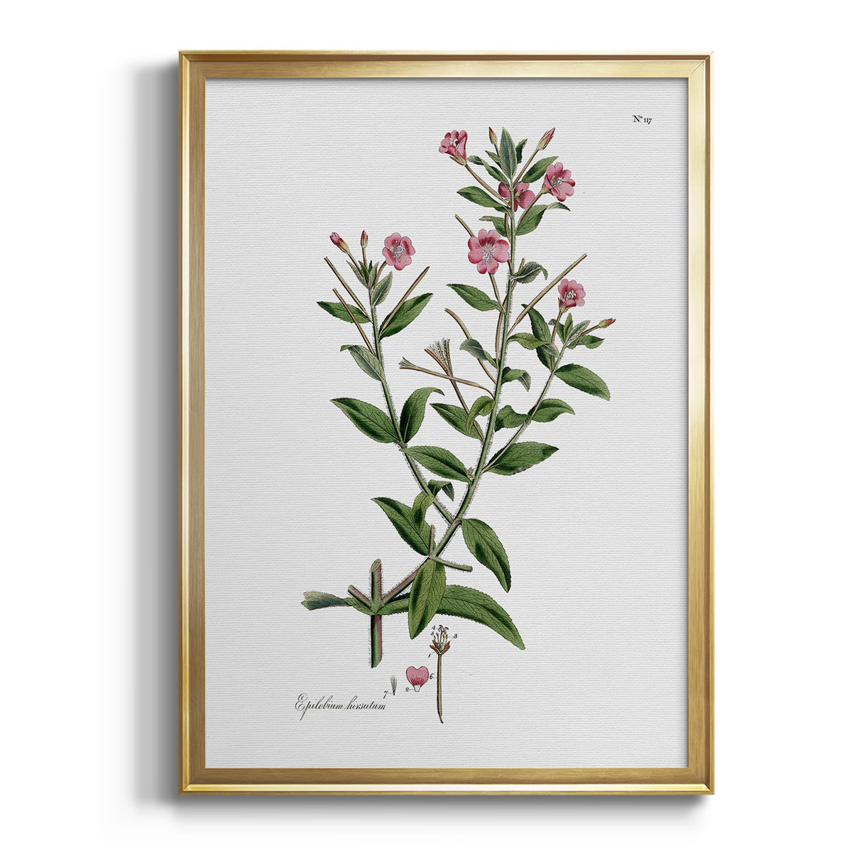 Rose Botanical III - Modern Framed Canvas Print