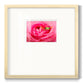 Hanging On VIII - Double Matboard Framed Print