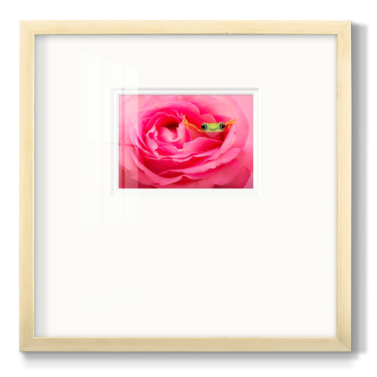 Hanging On VIII - Double Matboard Framed Print