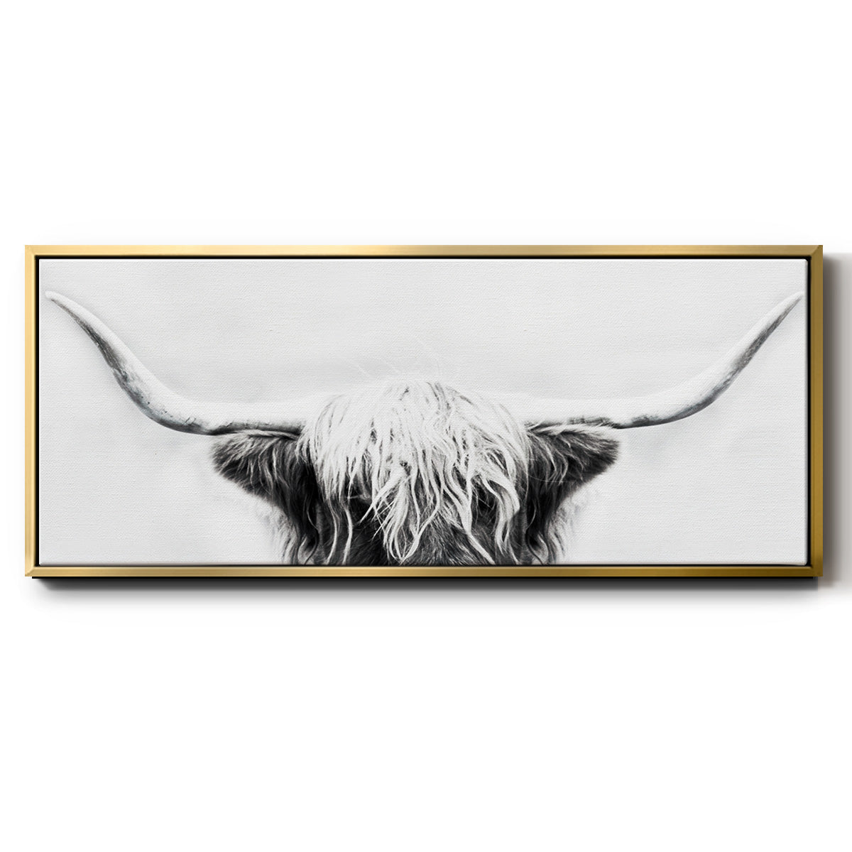 Longhorn - Floater Framed Canvas Print