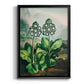 Temple of Flora XI - Modern Framed Canvas Print