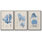 Blue Marine Algae IV - Floater Framed Canvas Set