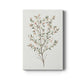 Single Sprig III Premium Gallery Wrapped Canvas - Ready to Hang