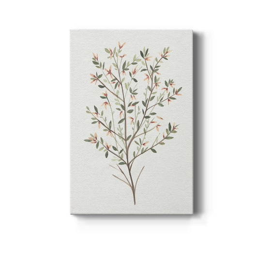 Single Sprig III Premium Gallery Wrapped Canvas - Ready to Hang