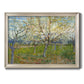 Orchard With Blossoming Apricot Trees - Ornate Framed Canvas Print