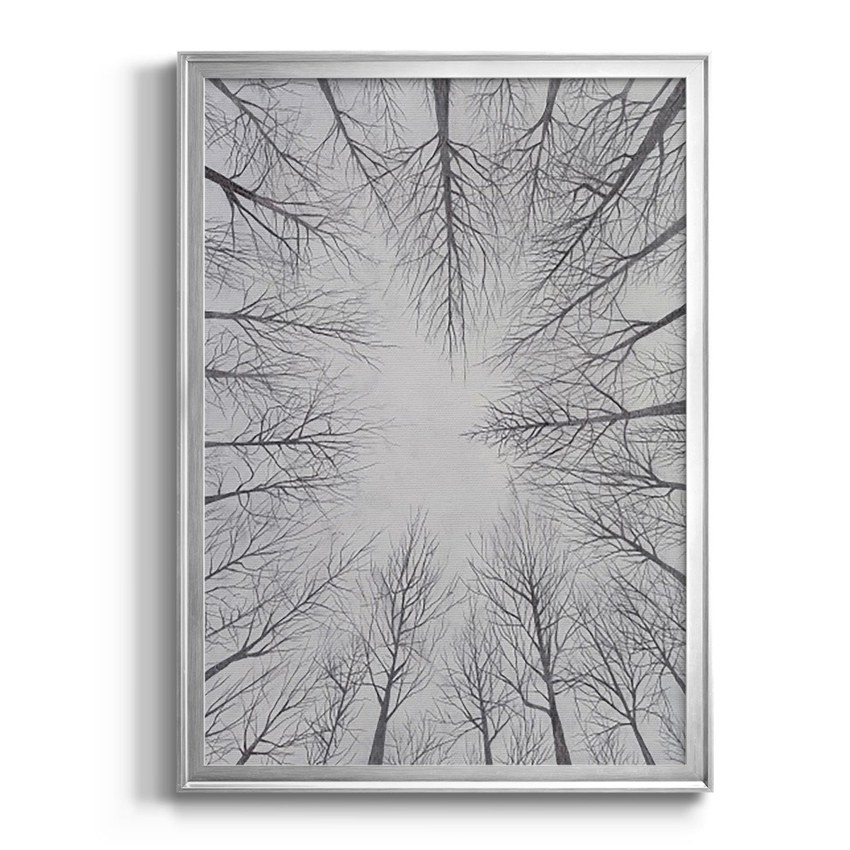 Deciduous Canopy I - Modern Framed Canvas Print