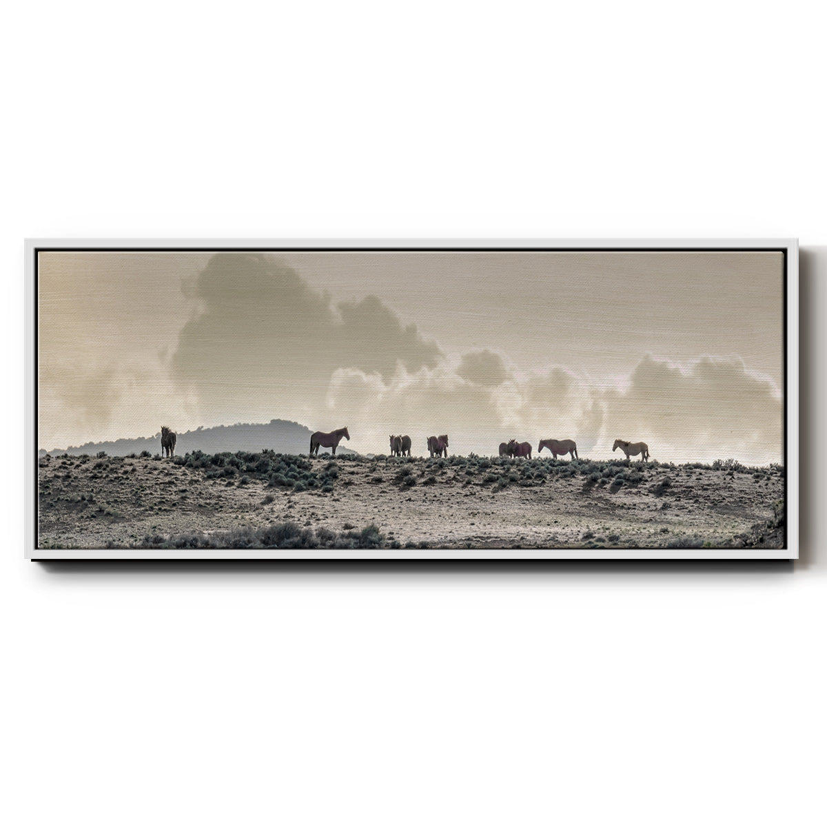 Wild Horse Ridge - Floater Framed Canvas Print