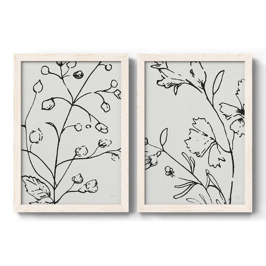 Botanical Sketch I - Barnwood Framed Canvas Set