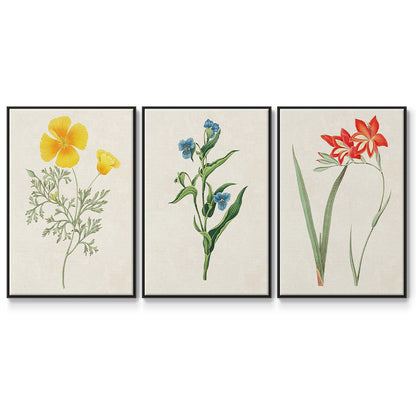 Flowers of the Seasons IV - Framed Premium Gallery Wrapped Canvas L Frame 3 Piece Set - Ready to Hang