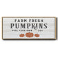 Farm Fresh Pumpkins - Floater Framed Canvas Print