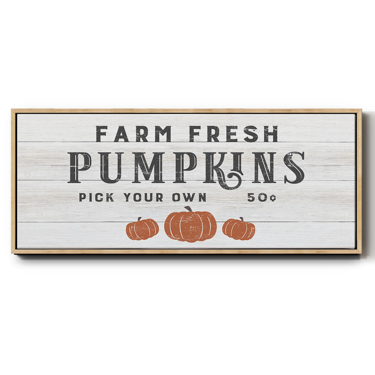 Farm Fresh Pumpkins - Floater Framed Canvas Print