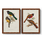 Elegant Trogons III - Premium Framed Canvas 2 Piece Set - Ready to Hang