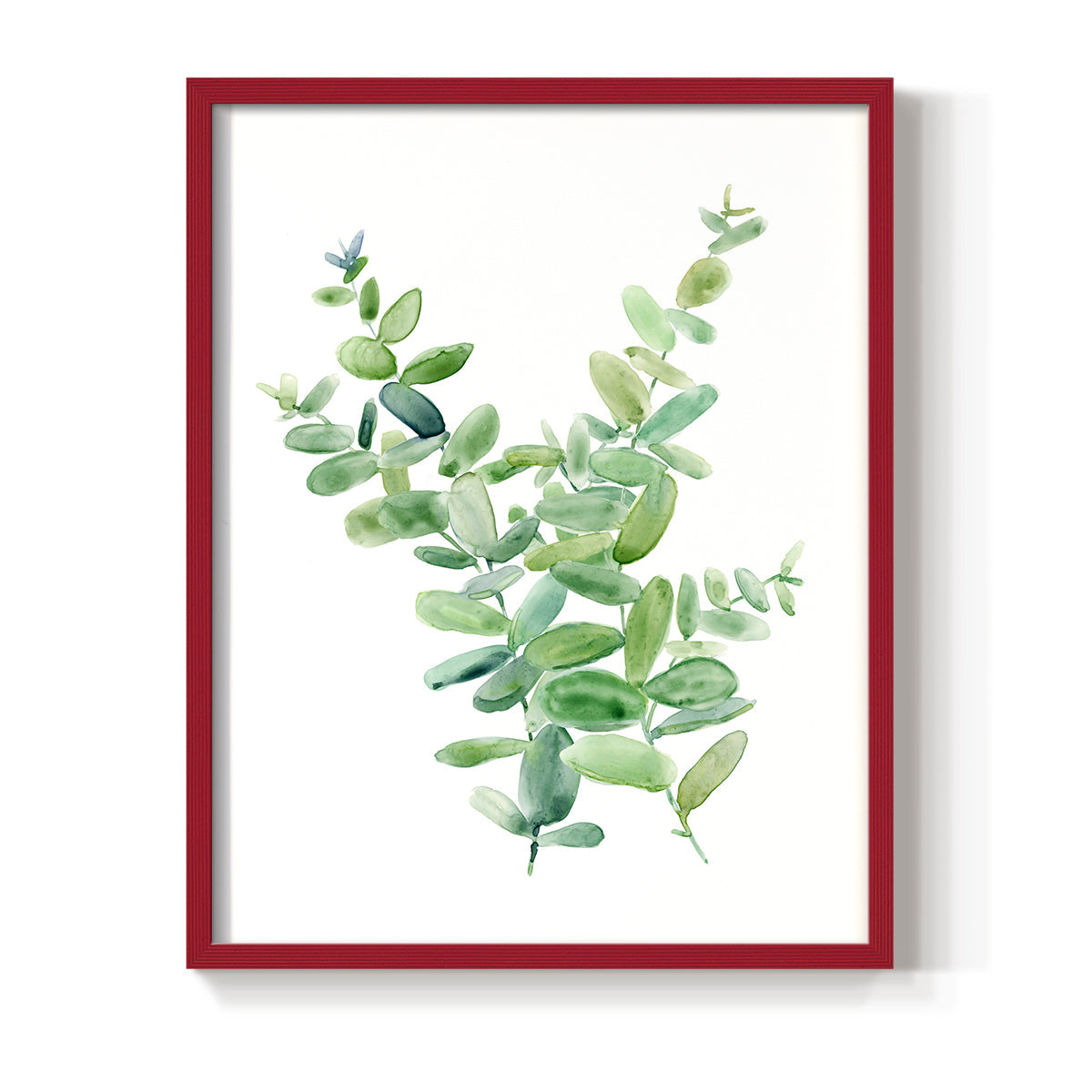 Eucalyptus III - Restickable Framed Art Print