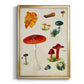 Mushroom Species VIII - Modern Framed Canvas Print