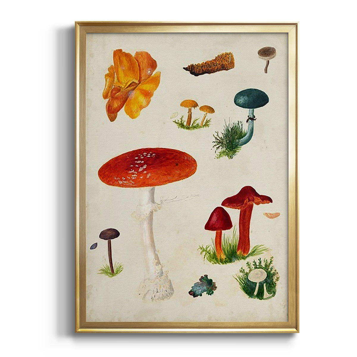 Mushroom Species VIII - Modern Framed Canvas Print