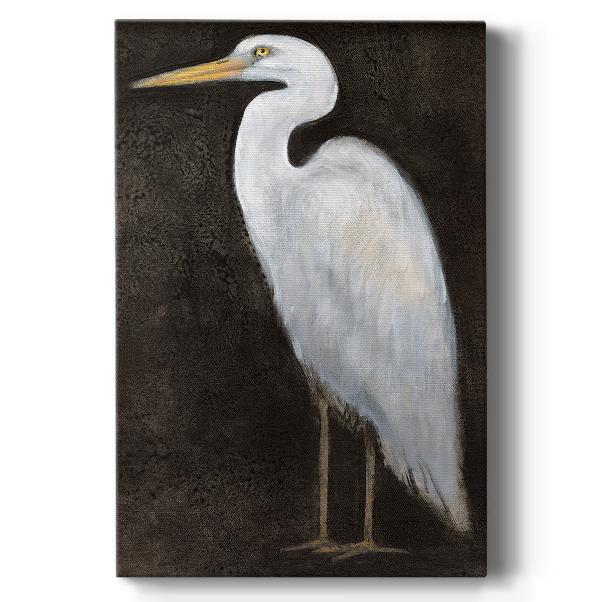 White Heron Portrait II  Premium Gallery Wrapped Canvas - Ready to Hang