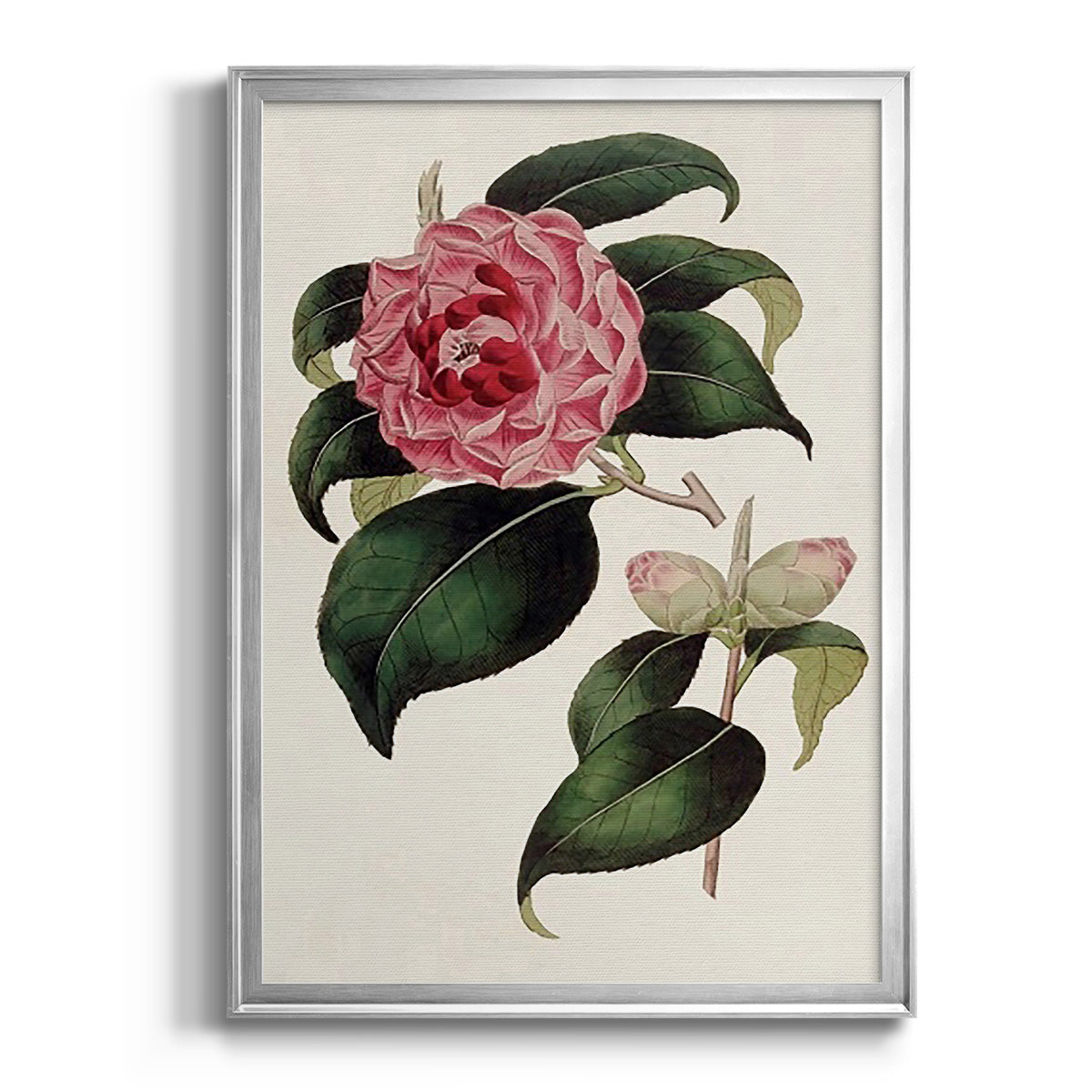Pink Floral Mix III - Modern Framed Canvas Print