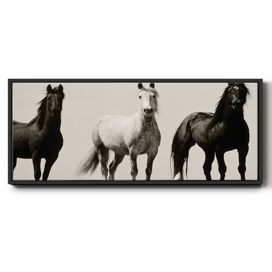 Wild Stallions - Floater Framed Canvas Print