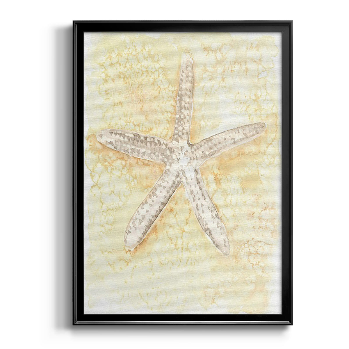 Salty Seashell I - Modern Framed Canvas Print