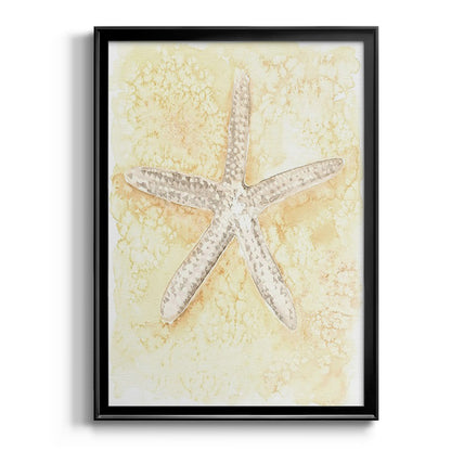 Salty Seashell I - Modern Framed Canvas Print