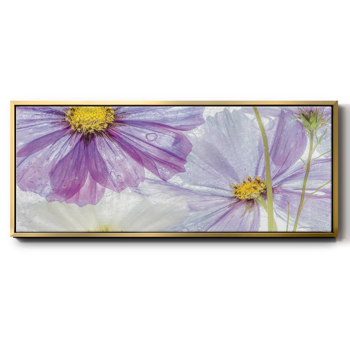 Frozen Floral II - Floater Framed Canvas Print
