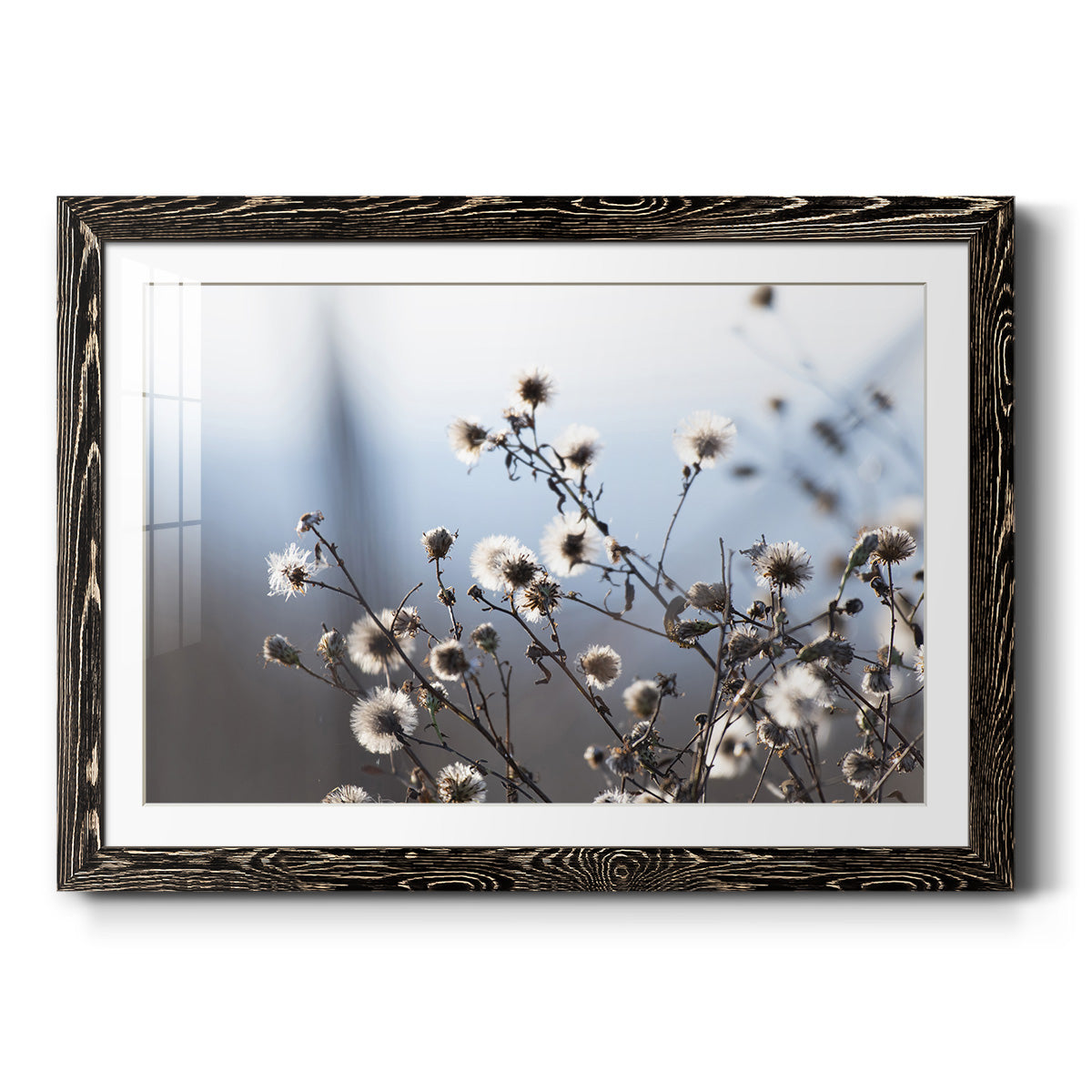 Spring Fluff - Barnwood Framed Art Print