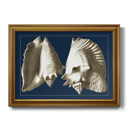 Conch Shells on Navy I Premium Framed Canvas- Ready to Hang