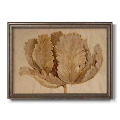Monochrome sepia tulip flower printed on canvas in an ornate traditional bronze frame.