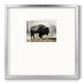 Geyser Basin - Double Matboard Framed Print
