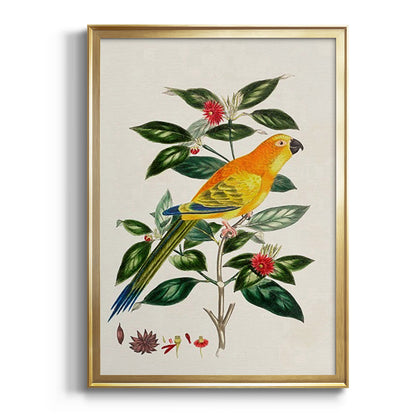 Bird in Habitat V - Modern Framed Canvas Print