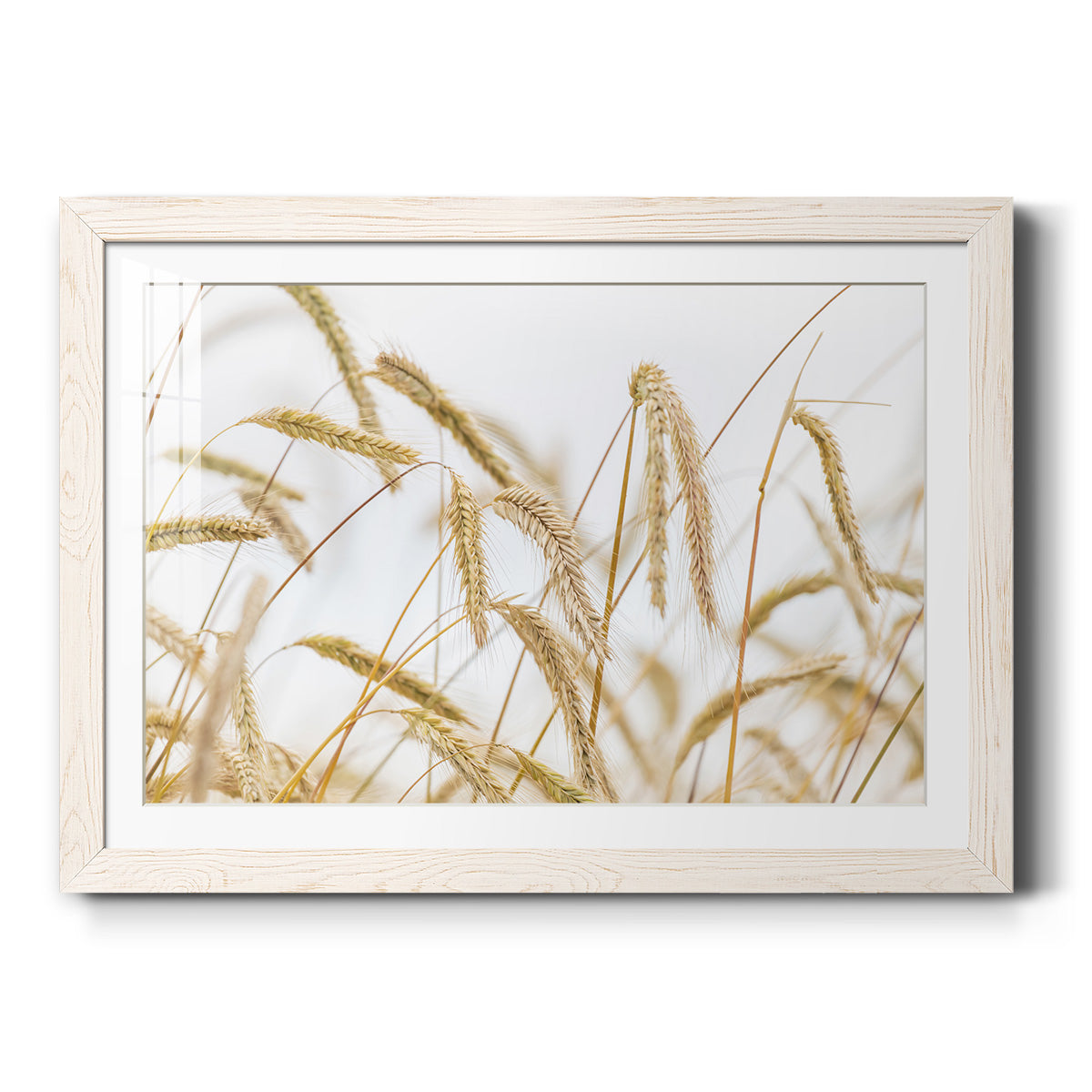 Wheat - Barnwood Framed Art Print