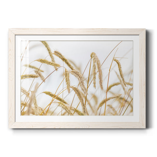 Wheat - Barnwood Framed Art Print