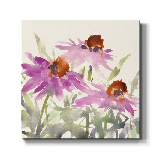 Daisy Garden Views II - Canvas Art Print