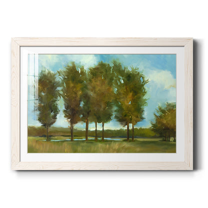 Tall Trees - Barnwood Framed Art Print