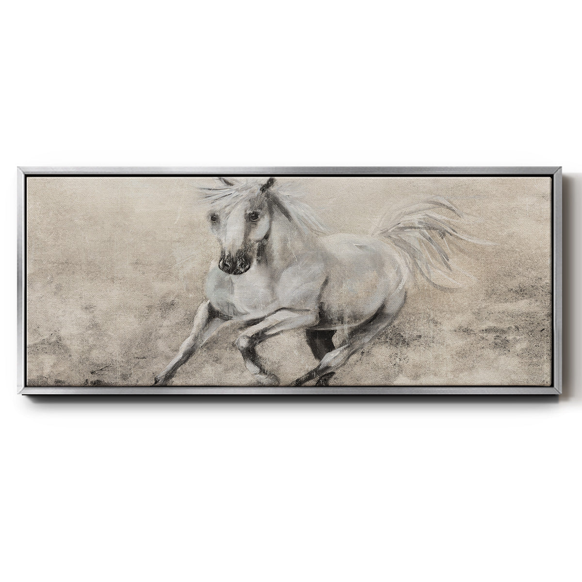 Majestic Stallion II - Floater Framed Canvas Print
