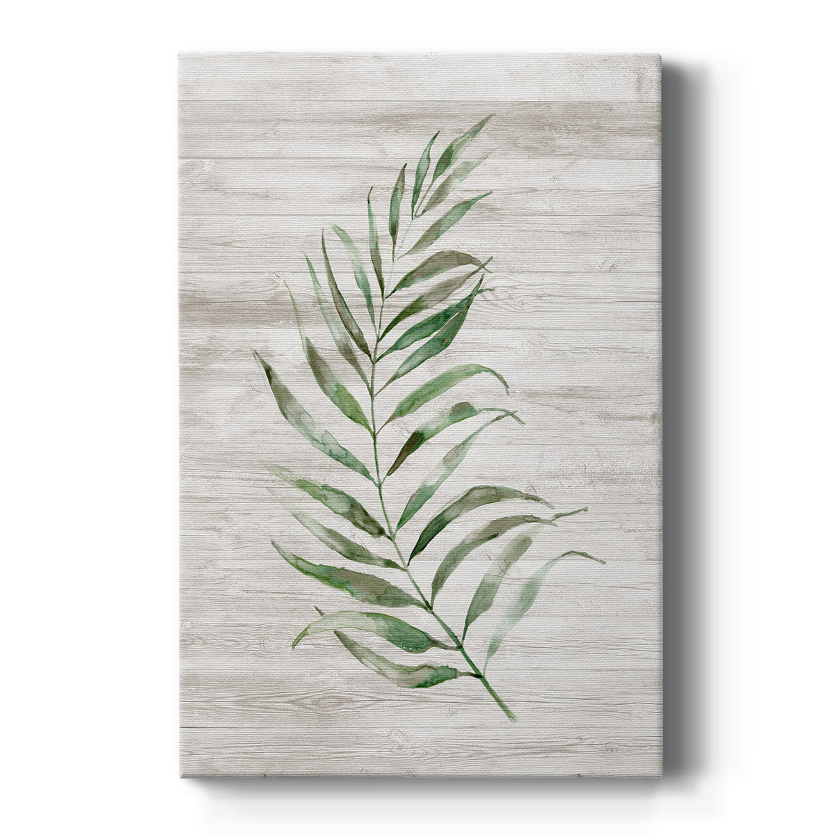 Tropic Frond I Premium Gallery Wrapped Canvas - Ready to Hang