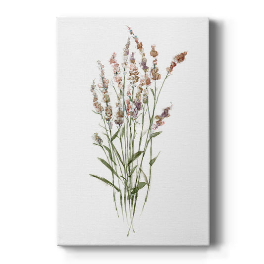 Dainty Botanical II - Canvas Art Print