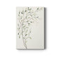 Spindle Sprig II Premium Gallery Wrapped Canvas - Ready to Hang