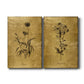 Gold Sketch Botanical I Premium Gallery Wrapped Canvas - Ready to Hang - Set of 2 - 8 x 12 Each