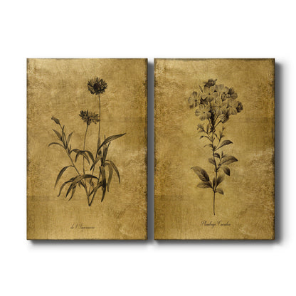 Set of two vertical canvas prints featuring gold sketch botanical illustration on warm neutral background, displayed side by side.