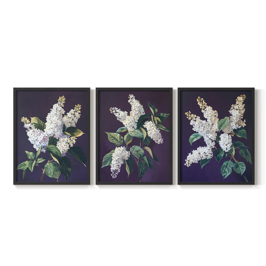 Floral Study Series LXXIX - Restickable Framed Art Set
