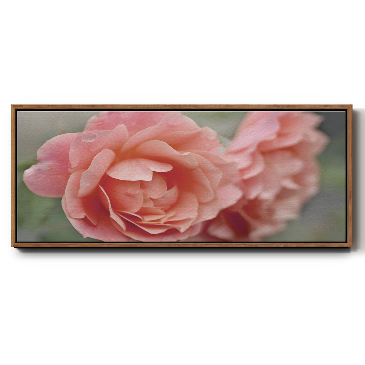 Cottage Climber - Floater Framed Canvas Print