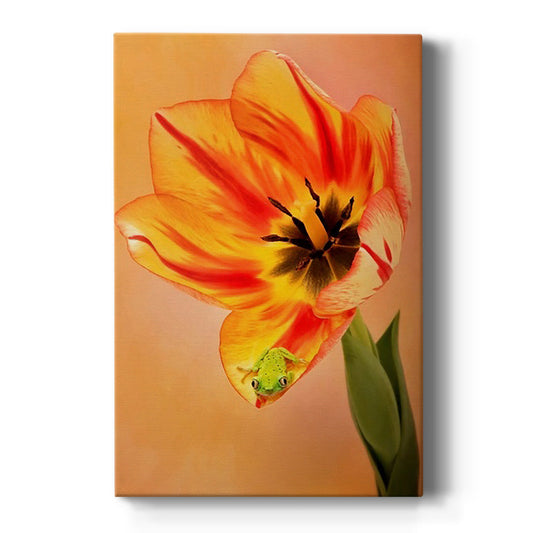 Hanging On VI - Canvas Art Print