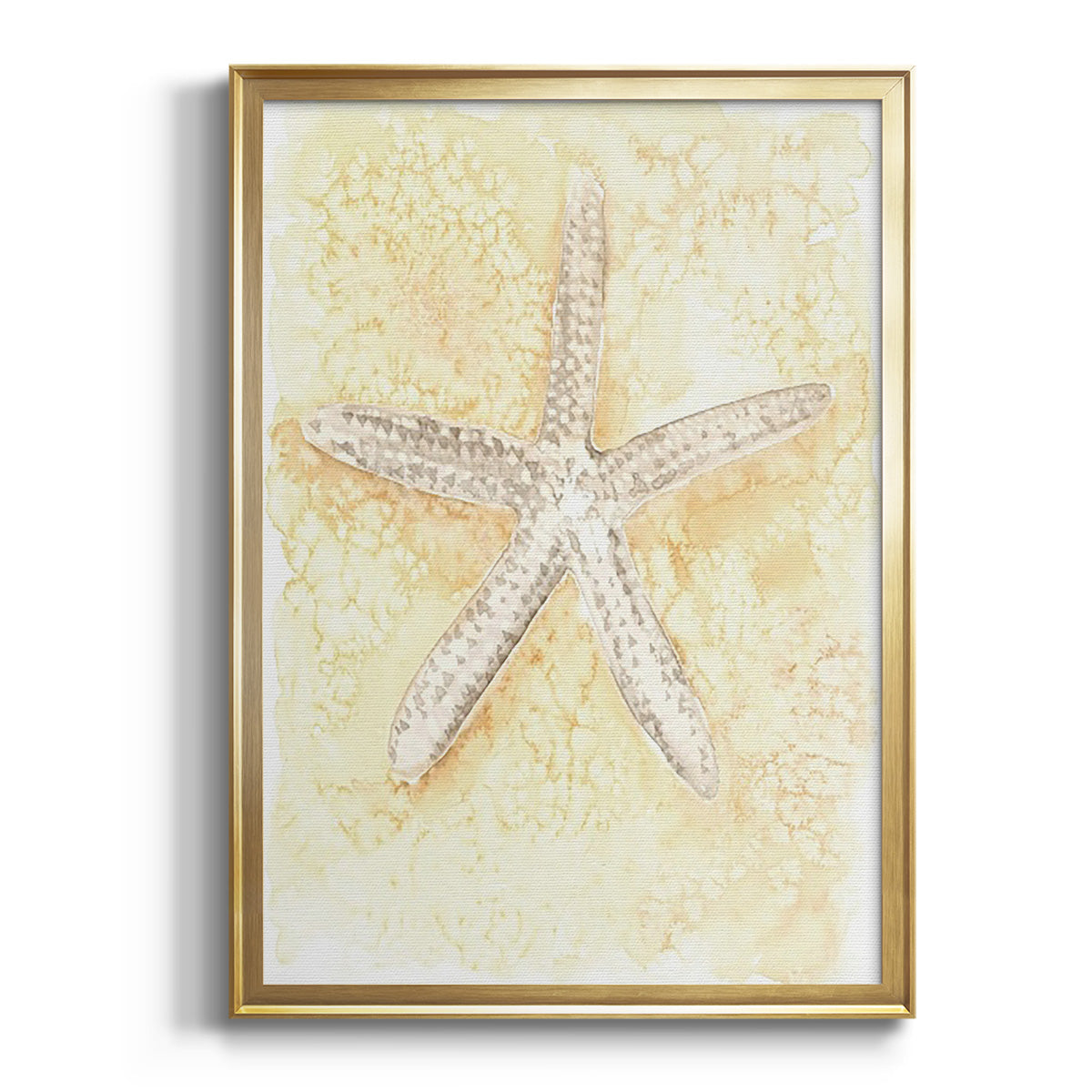 Salty Seashell I - Modern Framed Canvas Print
