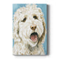 Labradoodle II - Canvas Art Print