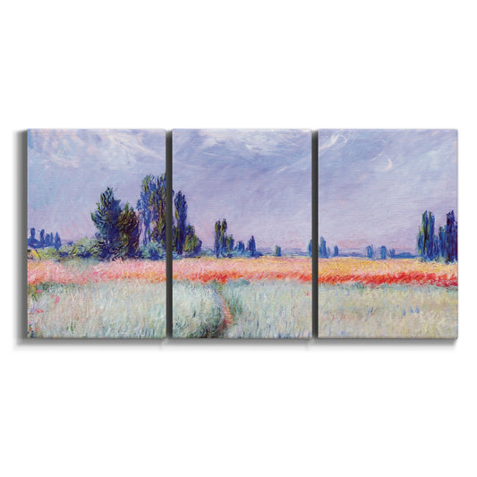 Three-panel canvas wall art featuring flowering field with poppies on white background.