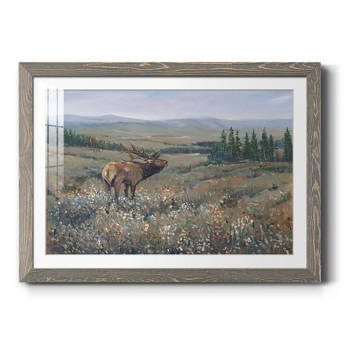 Western Wildlife I - Barnwood Framed Art Print